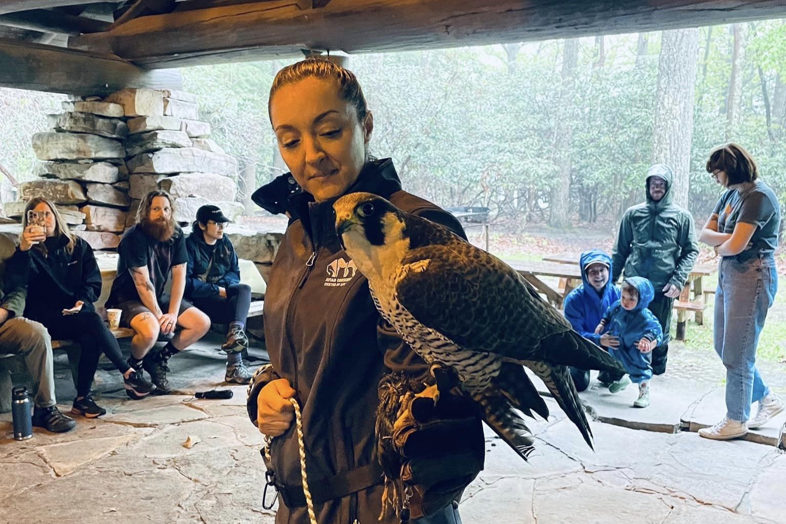 Morgantown Migratory Bird Day spotlights birds’ breathtaking expeditions and insects’ declining populations